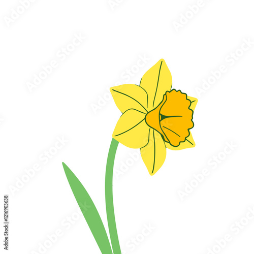 Illustration of a daffodil flower with bright yellow petals and green leaves with transparent background 