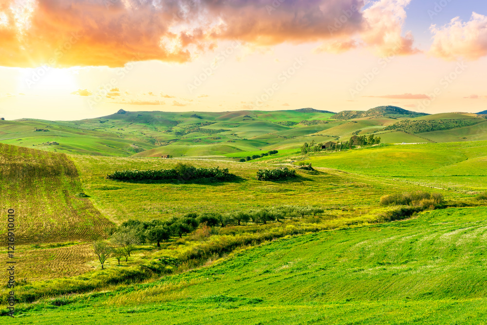 Fototapeta premium Beautiful landscape of green spring season field with salad grass, farm with garden and sunset or sunrise scenic sky