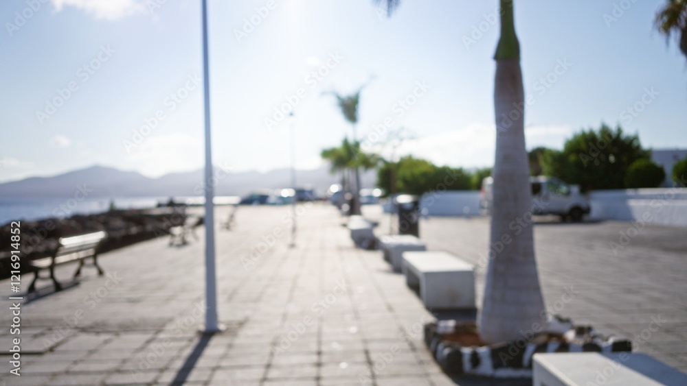 Blurred outdoor scene in lanzarote, canary islands, spain with defocused palm trees and benches under the bright sunny sky Blurred outdoor scene in lanzarote, canary islands, spain with defocused palm trees and benches under the bright sunny sky