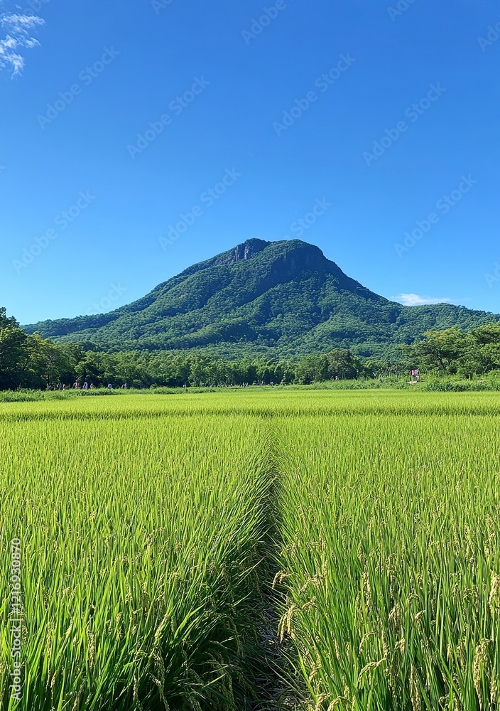 beautiful view of grassy mountain with blue sky in the background, there is an abandoned trail on top of it and some people walking around. beautiful view of grassy mountain with blue sky in the background, there is an abandoned trail on top of it and some people walking around.