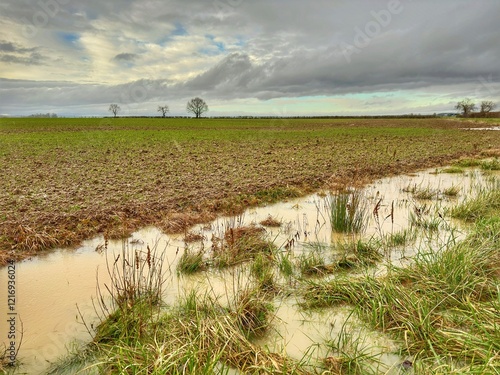 Champ inondé après des intempéries 