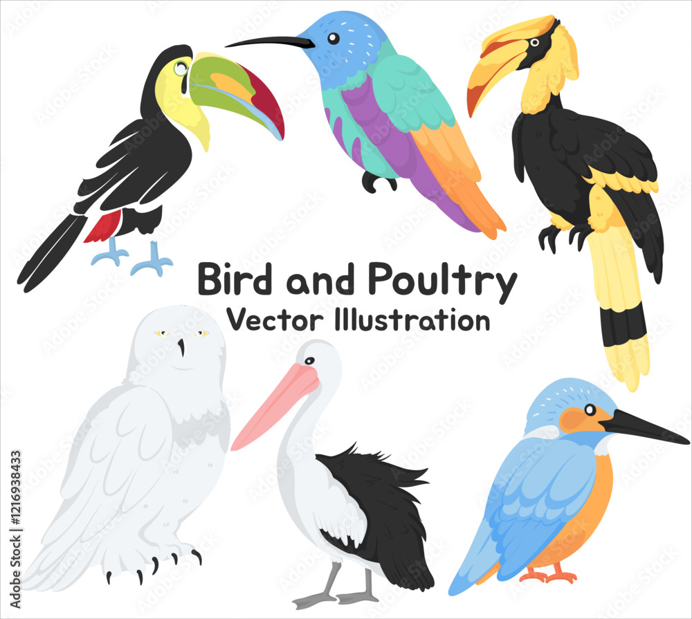 Naklejka premium Bird and Poultry Vector Illustrations Vibrant Tropical Birds Including Toucan Owl Kingfisher and Pelican in Cartoon Style for Creative Decorative and Educational Use