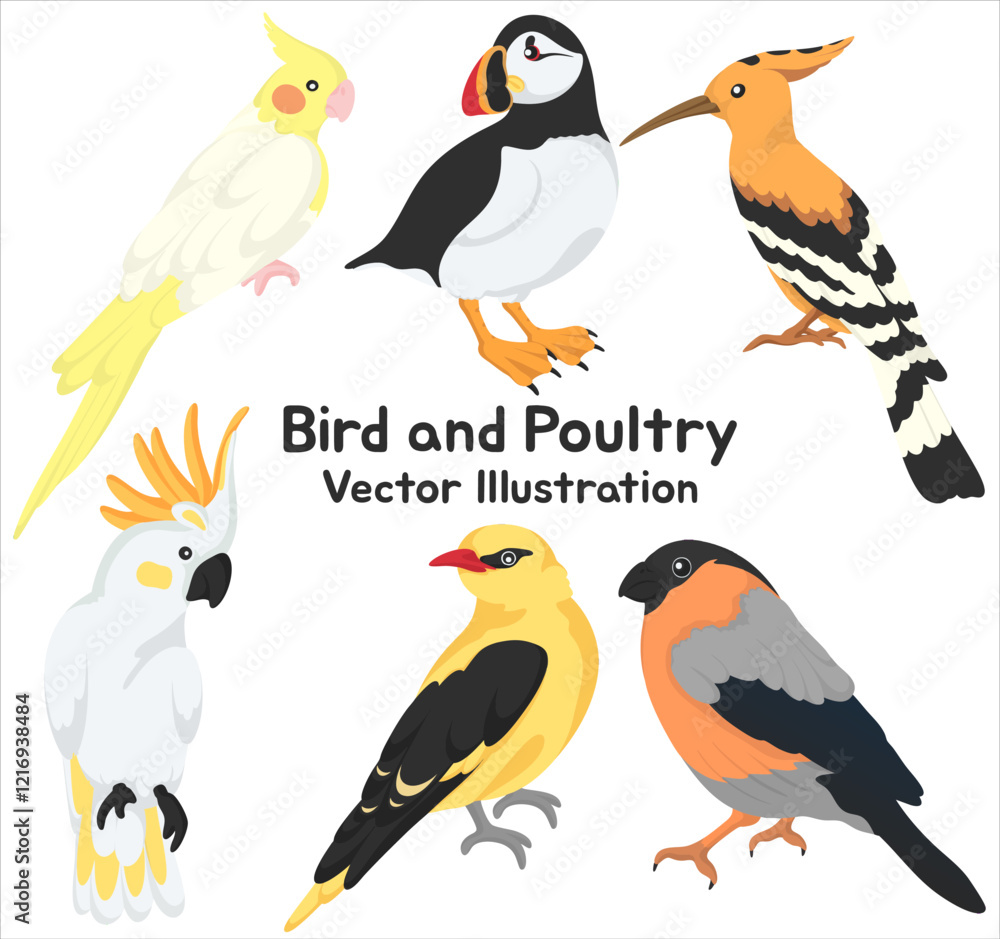 Fototapeta premium Bird and Poultry Vector Illustrations Unique Birds Including Parrot Puffin Hoopoe and Cockatoo in Colorful Cartoon Style for Decorative and Educational Purposes