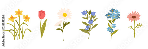 Spring flowers set. Floral botanical elements with cute spring flowers and leaves. Floral plant branches, stems with blooming blossoms and leaf. Tulips, snowdrops, crocuses, lilies. Flat vector