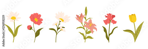 Spring flowers set. Floral botanical elements with cute spring flowers and leaves. Floral plant branches, stems with blooming blossoms and leaf. Tulips, snowdrops, crocuses, lilies. Flat vector