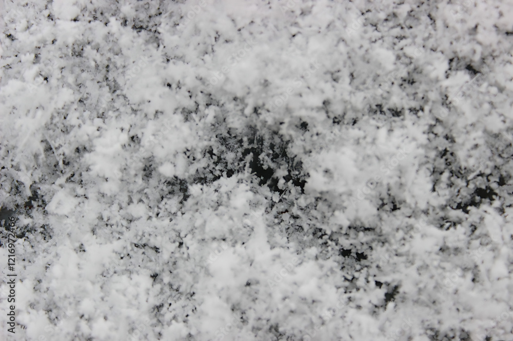 Obraz premium The photo captures delicate and intricate snowflakes, each uniquely crafted with its geometric patterns. They gently settle on a pristine blanket of soft snow, evoking a sense of fragility and purity.
