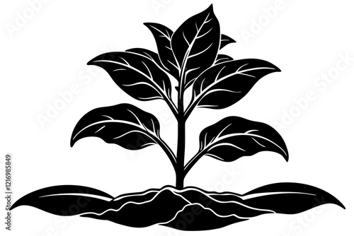 tobacco seedling silhouette vector
