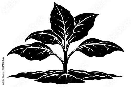tobacco seedling silhouette vector
