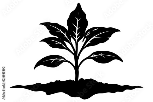 tobacco seedling silhouette vector