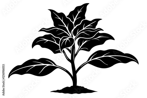 tobacco seedling silhouette vector