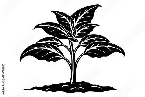 tobacco seedling silhouette vector
