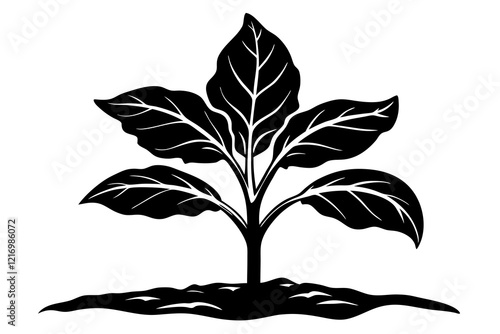 tobacco seedling silhouette vector