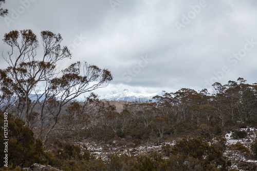 Walls of Jerusalem National Park, Tasmania, Australia. Lookout to Cradle Mountain National Park, Mount Pelion. photo