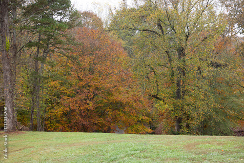 Autumn landscape with colorful leaves