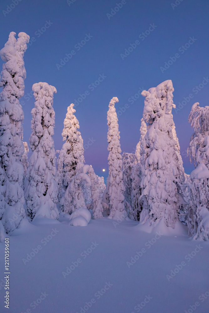snow covered trees