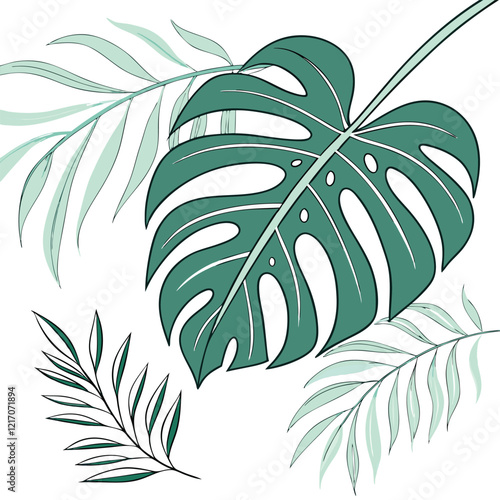 Monstera Leaf vector art design