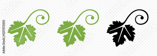 Grape leaf, leaves and vine shoots vector design