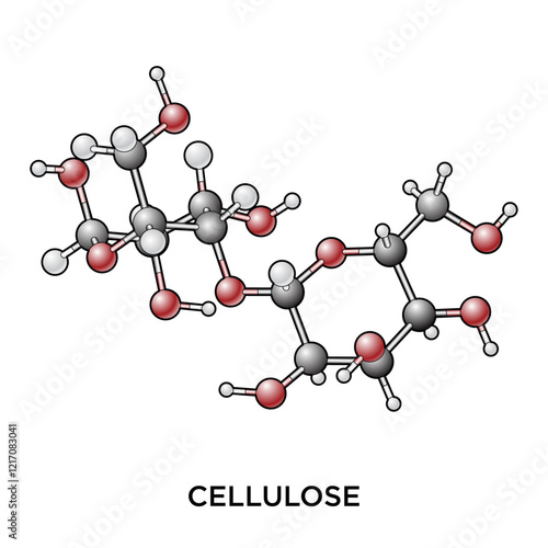 Cellulose Ball and Stick Molecule