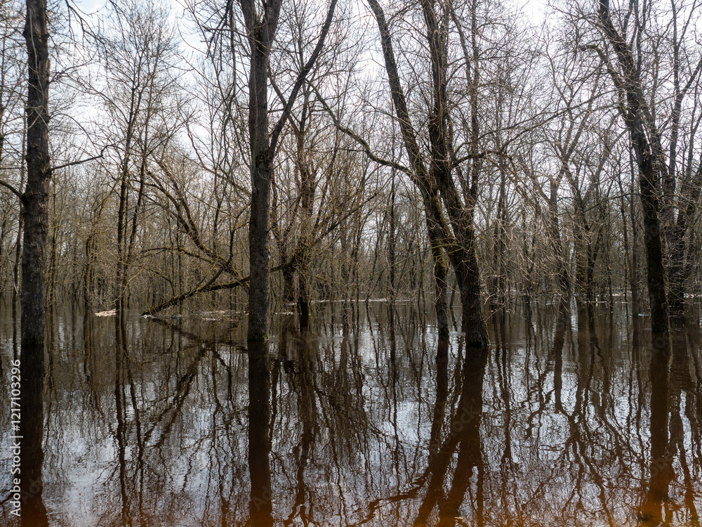 Reflection of trees in the water in the river. Spring landscape Reflection of trees in the water in the river. Spring landscape