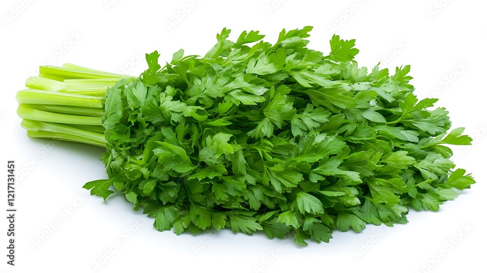 Fresh parsley bunch isolated on white. Fresh parsley bunch isolated on white.