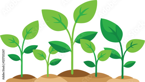 Young plants isolated on white background