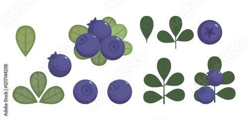 Blueberry set, collection isolated on a white background. Violet berries and green leaves in flat style. Vector illustration, colored icon, design element.