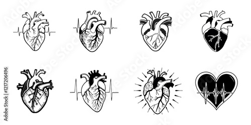 illustration of a human heart, focusing on its basic shape and major arteries,