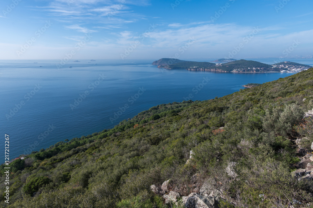 Fototapeta premium Stunning view of the Sea of Marmara from the highest point on the island of Buyukada, Turkey. Istanbul region
