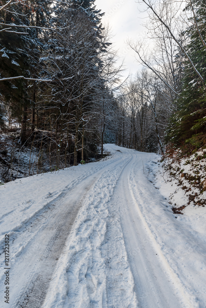 Snow covered road in winter forest above Horni Lomna village in Czech republic Snow covered road in winter forest above Horni Lomna village in Czech republic