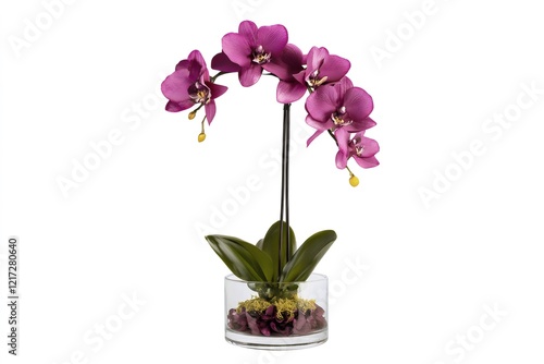 Wallpaper Mural Delicate purple orchid blooming beside green leaves, nestled in transparent glass vase against crisp white surface Torontodigital.ca