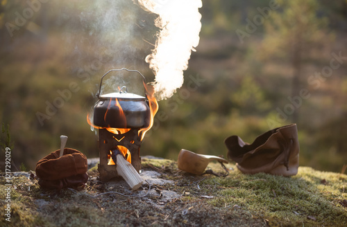 Photography Boiling kettle over a firebox  in the forest
