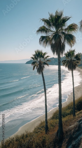 Serene beach with palm trees and gentle waves under a clear sky in sunny weather
