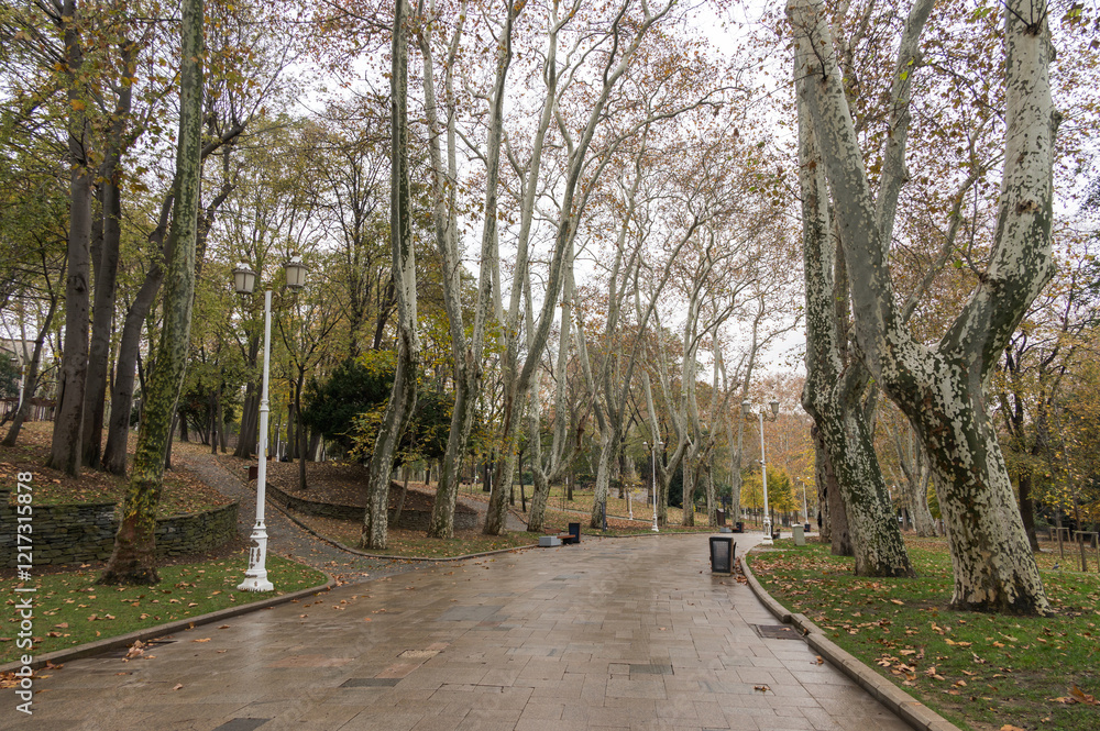 Obraz premium View of historical urban Gulhane Park in the Eminonu district of Istanbul, Turkey. Cloudy day