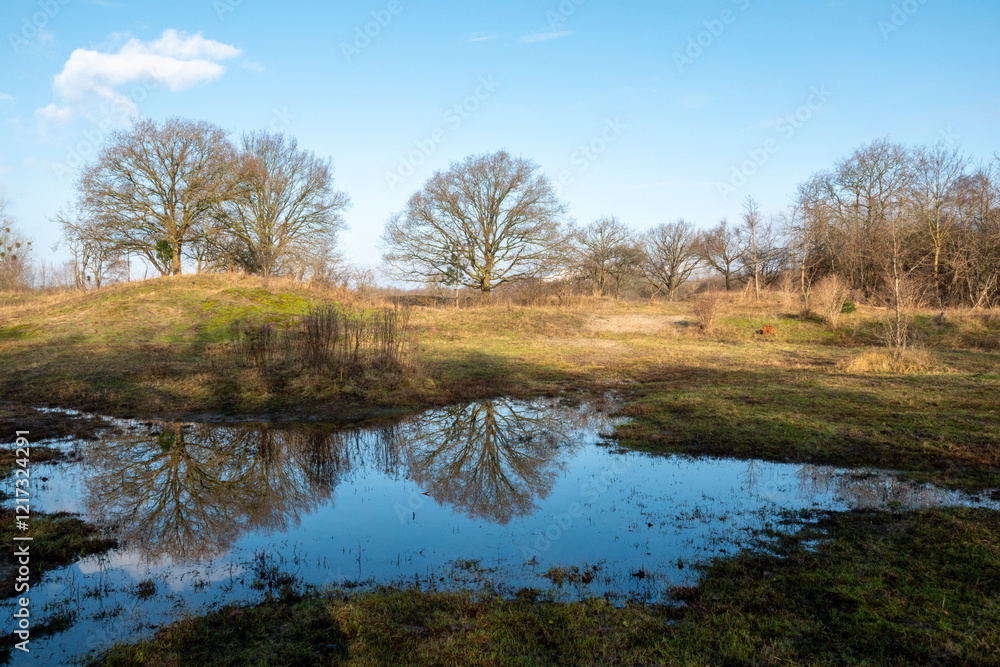 Serene Tree Reflected in a Still Pond Surrounded by a Quiet Landscape Serene Tree Reflected in a Still Pond Surrounded by a Quiet Landscape