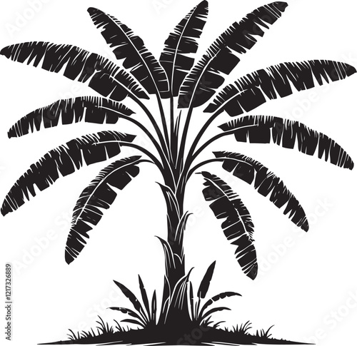 Banana Tree vector illustration black silhouette isolated on white background