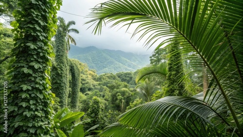 Green palm leaves in a tropical jungle setting surrounded by lush greenery and vines, outdoor scenery, nature, leafy