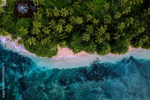 фотографія Aerial view of lush green vegetation on the coastline of Sao Tome Islands