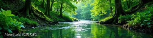 Green forest with serene river flowing through, water, nature