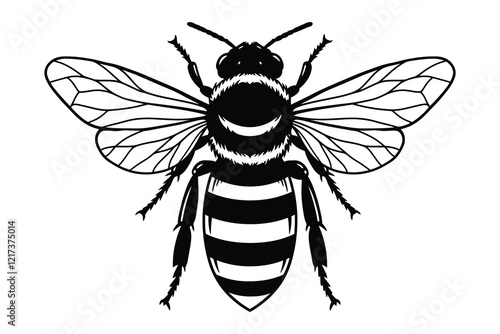 Bee silhouette vector graphic illustration.