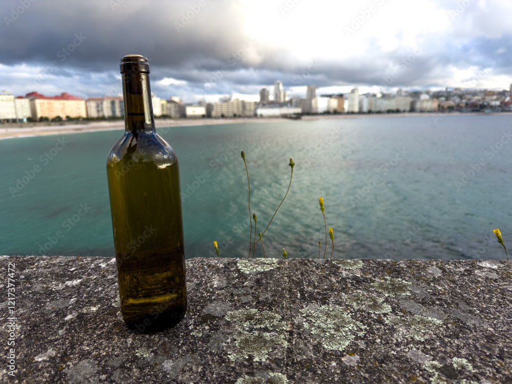 Wine Bottle Overlooking Coastal Cityscape Wine Bottle Overlooking Coastal Cityscape