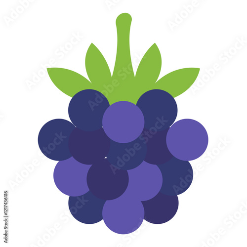 Vector Design Blackberry Icon Style