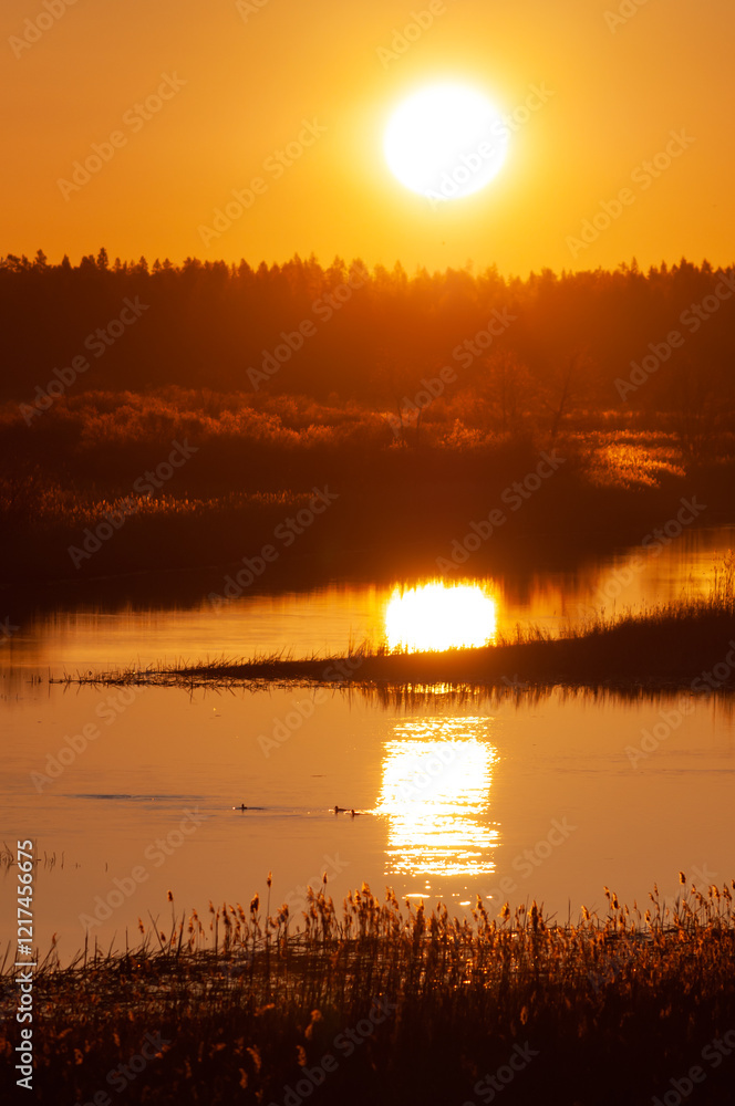 Fototapeta premium Early morning sunlight in the wetlands of a river delta in spring in Pori, Finland