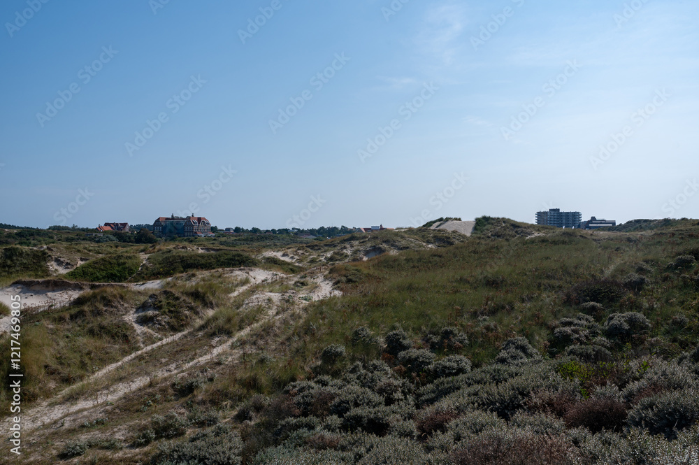 Dunes nature reserve with view of houses of the town of Egmond aan Zee Dunes nature reserve with view of houses of the town of Egmond aan Zee