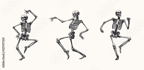 funny skeleton dance set isolated various dynamic poses movement hand drawn sketch card design element line art detailed vector illustration