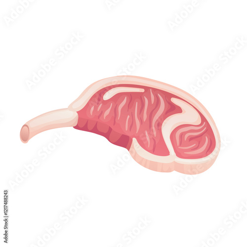 Pork meat on bone in flat design. Uncooked food, deli butcher product. Vector illustration isolated.