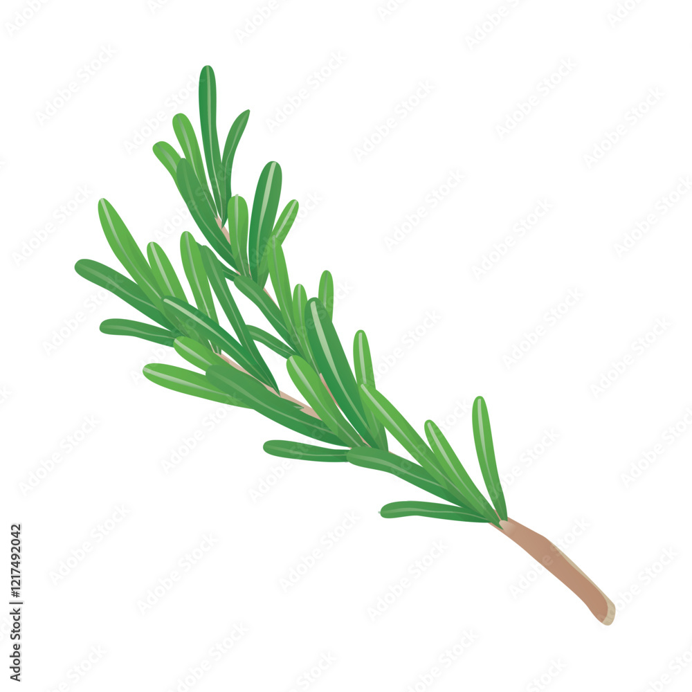 Fototapeta premium Rosemary twig in flat design. Cooking spice, scented herb condiment. Vector illustration isolated.