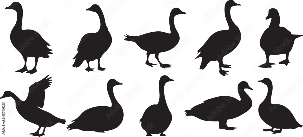 Obraz premium Duck silhouette