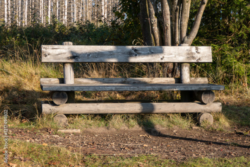 Holzsbank im Wald