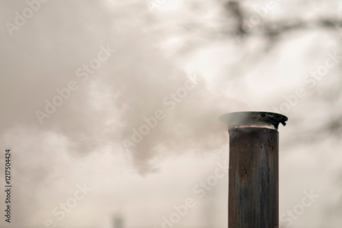 Smoke comes from black offset smoker grill in home backyard, family patio, barbeque party on open air