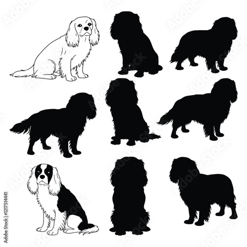 Set of beautiful Cavalier King Charles Spaniel Silhouettes  on white background